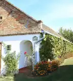 Szőlőhegyi pincesor, Mórichida