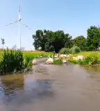 Mosonmagyaróvári Hallépcső, Mosonmagyaróvár