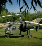 Nagyatádi Hadipark, Nagyatád