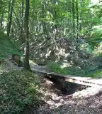 Árpád-forrás, Nagybakónak