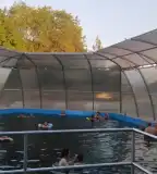 Bánfürdő-Termálfürdő, Nagybánhegyes