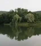 Nagybörzsönyi Víztározó, Nagybörzsöny