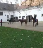 Széchenyi István Lovasképzési Központ, Nagycenk