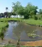 Szikes vizes élőhelyek tanösvény, Nagyér