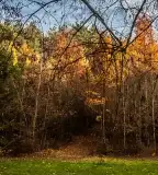 Miklósfai Arborétum, Nagykanizsa