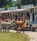 Richter Safari Park, Nagykőrös