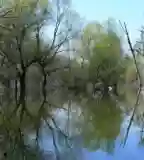 Kovácsi Holt-Tisza, Nagykörű