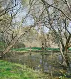 Békás-tó, Nagykovácsi