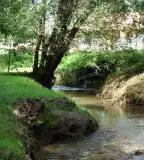 Bitva patak, Németbánya