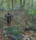 Magyar forrás, Németbánya