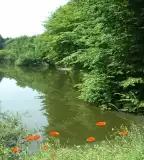 Pisztrángos-tó, Németbánya