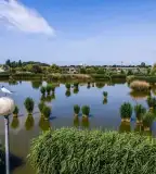 Bujtosi horgásztó, Nyíregyháza