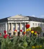 Jósa András Múzeum, Nyíregyháza