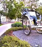 Zöld Város Tanösvény, Nyíregyháza