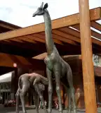 Zsiráf család szobor, Nyíregyháza