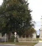 Református templom, Nyírkáta