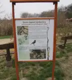 Szőlő-laposi tanösvény, Nyírmada