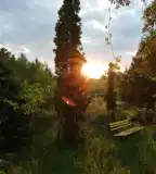 Nyíri Arborétum, Nyírpazony