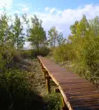 Tanösvény a Turjánban, Ócsa