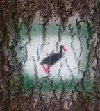 Fekete gólya tanösvény, Őcsény