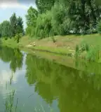 Halastó, Ököritófülpös