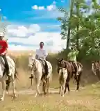 Akhal Ménes, Ópusztaszer