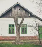 Darvas József Irodalmi Emlékház, Orosháza