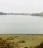 Orosházi Béke homokbánya horgásztó, Orosháza