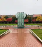 Üveg körtefa, Orosháza