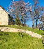 Középkori templomrom, Örvényes