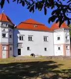 Mágocsy Kastély, Pácin