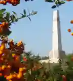 Katonai Emlékpark - Pákozd, Pákozd