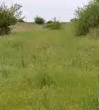 Ürge-mező tanösvény, Paks