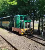 Pálházai Erdei Vasút, Pálháza