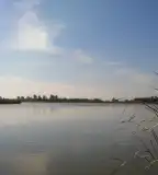 Lőrincz-tó, Pálmonostora