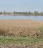 Péteri-tavi Madárrezervátum, Pálmonostora