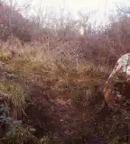 Pázmándi kvarcitsziklák, Pázmánd