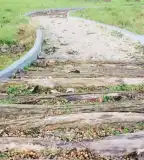 Mezítlábas park, Pázmánd