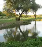 Zöld-Tócsa horgásztó és szabadidőpark, Pécel