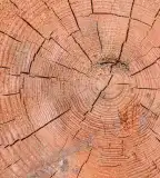 Kisréti tanösvény, Pécs