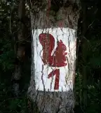 Mókus tanösvény, Pécs