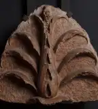 Reneszánsz Kőtár, Pécs