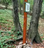 Rotary tanösvény, Pécs