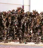 Szerelmes lakatok, Pécs