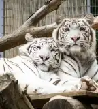 Pécsi Állatkert és Akvárium-terrárium, Pécs