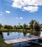 Dózer-tó, Penészlek