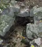 Judit-forrás, Pénzesgyőr