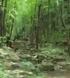 Kerteskői-szurdok, Bakonybél