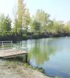 Perenyei horgásztó, Perenye