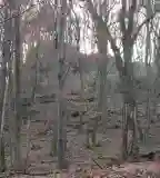 Salgóvár romjai, Perőcsény